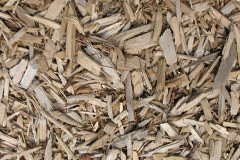 biomass boilers Dalwhinnie